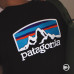 Patagonia Men's Fitz Roy Horizons